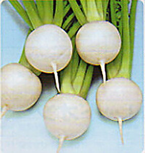 Ђ 1dl  Ju y^J}V[h   ^l zyʏ5{ 5̂̓|Cg10{z