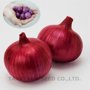 ʓV(ԋʔK) 20ml ʂ˂ ܂˂ ʔK ^}lMy^J}V[h   ^l zyʏ5{ 5̂̓|Cg10{z