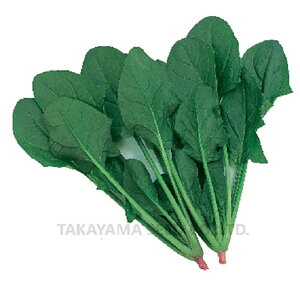 AtH[h 1L ق @@ zE\E ق񂻂y^J}V[h   ^l zyʏ5{ 5̂̓|Cg10{z