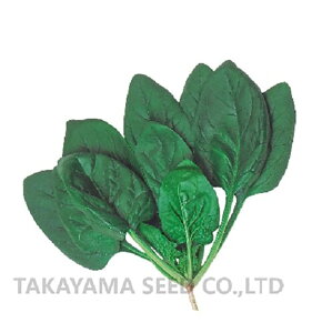 ӒX^~i 1L ق @@ zE\E ق񂻂y^J}V[h   ^l zyʏ5{ 5̂̓|Cg10{z