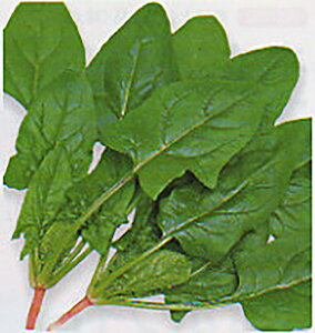 _Ci}Cg 1L ق @@ zE\E ق񂻂y^J}V[h   ^l zyʏ5{ 5̂̓|Cg10{z