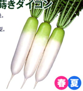  10000 卪 _CR  nӌz ynӔ_   ^l zyʏ5{ 5̂̓|Cg10{ΏۊOi|Cg3{Œ菤iz
