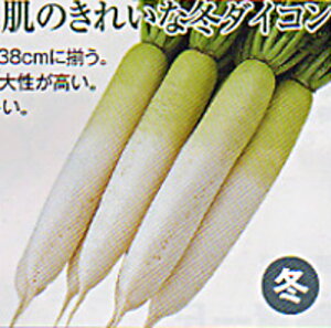 ~ R[g5000 卪 _CR  nӌz ynӔ_   ^l zyʏ5{ 5̂̓|Cg10{ΏۊOi|Cg3{Œ菤iz