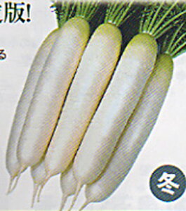 Ƃ 20ml 卪 _CR  nӌz ynӔ_   ^l zyʏ5{ 5̂̓|Cg10{ΏۊOi|Cg3{Œ菤iz