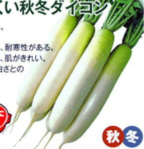 YRH R[g5000 卪 _CR  nӌz ynӔ_   ^l zyʏ5{ 5̂̓|Cg10{ΏۊOi|Cg3{Œ菤iz