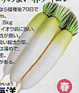 YRCm 10000 卪 _CR  nӌz ynӔ_   ^l zyʏ5{ 5̂̓|Cg10{ΏۊOi|Cg3{Œ菤iz