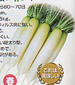 吅 R[g5000 卪 _CR  nӌz ynӔ_   ^l zyʏ5{ 5̂̓|Cg10{ΏۊOi|Cg3{Œ菤iz