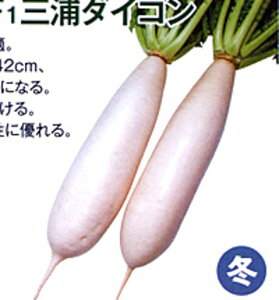 (OY卪) 2dl 卪 _CR  nӌz ynӔ_   ^l zyʏ5{ 5̂̓|Cg10{ΏۊOi|Cg3{Œ菤iz