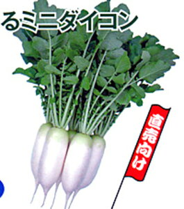 ~j卪 lGP2 10000 卪 _CR  nӌz ynӔ_   ^l zyʏ5{ 5̂̓|Cg10{ΏۊOi|Cg3{Œ菤iz