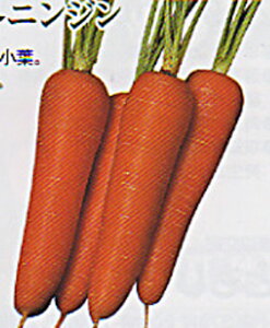 gܐ2 1L jW ɂ񂶂 lQ nӌz ynӔ_   ^l zyʏ5{ 5̂̓|Cg10{ΏۊOi|Cg3{Œ菤iz