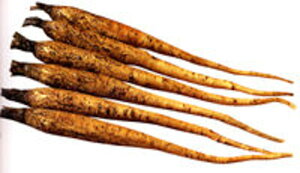 S 1L  S{E ڂynӔ_   ^l zyʏ5{ 5̂̓|Cg10{ΏۊOi|Cg3{Œ菤iz