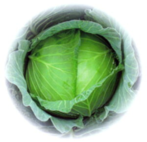 ݂ǂ 2000 Lxc nӌz ynӔ_   ^l zyʏ5{ 5̂̓|Cg10{ΏۊOi|Cg3{Œ菤iz