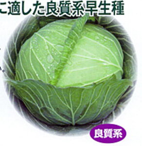  R[g5000 Lxc nӌz ynӔ_   ^l zyʏ5{ 5̂̓|Cg10{ΏۊOi|Cg3{Œ菤iz