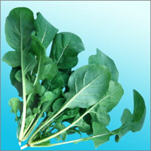 R(bR) 1dl n[uynӔ_   ^l zyʏ5{ 5̂̓|Cg10{ΏۊOi|Cg3{Œ菤iz