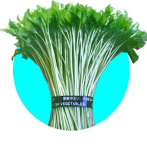 ӒX 1L ݂ ~co OtynӔ_   ^l zyʏ5{ 5̂̓|Cg10{ΏۊOi|Cg3{Œ菤iz