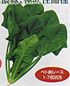 j[ubW PC(L)30000 ق @@ zE\E ق񂻂 z@ynӔ_   ^l zyʏ5{ 5̂̓|Cg10{ΏۊOi|Cg3{Œ菤iz