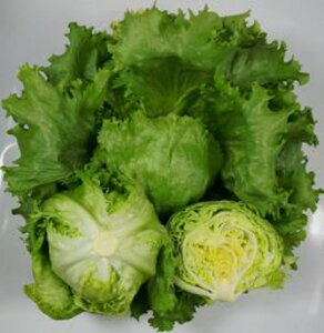 XvOA[X PVP R[g5000 ^XynӔ_   ^l zyʏ5{ 5̂̓|Cg10{ΏۊOi|Cg3{Œ菤iz