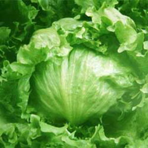 g\ 20ml ^XynӔ_   ^l zyʏ5{ 5̂̓|Cg10{ΏۊOi|Cg3{Œ菤iz