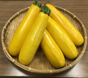 GmA 100 YbL[j [ z@ynӔ_   ^l zyʏ5{ 5̂̓|Cg10{ΏۊOi|Cg3{Œ菤iz