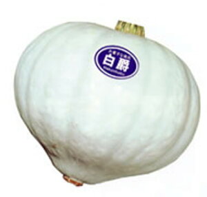  500 Z J{` ڂynӍ̎   ^l zyʏ5{ 5̂̓|Cg10{z