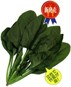 董i T}[rNg[ 30000 ق @@ zE\E ق񂻂ynӍ̎   ^l zyʏ5{ 5̂̓|Cg10{z