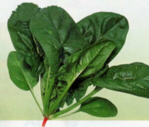  1L ق @@ zE\E ق񂻂ynӍ̎   ^l zyʏ5{ 5̂̓|Cg10{z