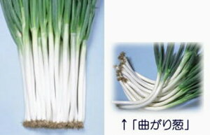 ]ڈ{ 2dl K lM ˂ynӍ̎   ^l zyʏ5{ 5̂̓|Cg10{z