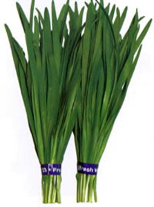 ybgq C 5000(2L) B j ɂynӍ̎   ^l zyʏ5{ 5̂̓|Cg10{z