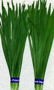 ybgq t 5000(2L) B j ɂynӍ̎   ^l zyʏ5{ 5̂̓|Cg10{z