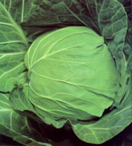 y 5000(L) LxcynӍ̎   ^l zyʏ5{ 5̂̓|Cg10{z