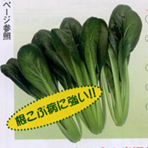 CR͏ 1dl  R}ci ܂ȁynӍ̎   ^l zyʏ5{ 5̂̓|Cg10{z