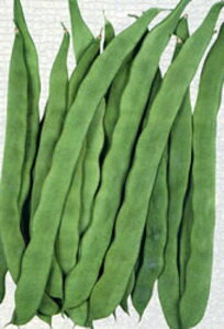 邠 u[hEFC 1L B TCQ ₢񂰂ynӍ̎   ^l zyʏ5{ 5̂̓|Cg10{z