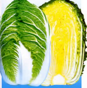 c85 20ml  nNTC ͂ynӍ̎   ^l zyʏ5{ 5̂̓|Cg10{z