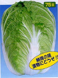 H 20ml  nNTC ͂ynӍ̎   ^l zyʏ5{ 5̂̓|Cg10{z