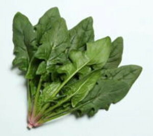 y萨 15ʑΉz߂Ⴄ7 1L ق @@ zE\E ق񂻂ynӍ̎   ^l zyʏ5{ 5̂̓|Cg10{z