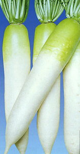 { 2dl 卪 _CR ynӍ̎   ^l zyʏ5{ 5̂̓|Cg10{z