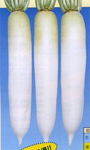 s̋{ 20ml 卪 _CR ynӍ̎   ^l zyʏ5{ 5̂̓|Cg10{z