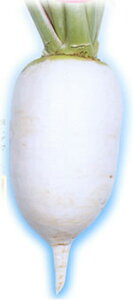 h卪 炢 20ml 卪 _CR ynӍ̎   ^l zyʏ5{ 5̂̓|Cg10{z