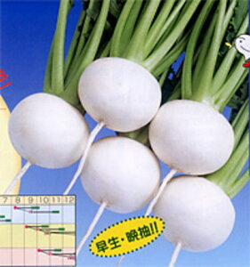CRႠ 20ml  Ju ynӍ̎   ^l zyʏ5{ 5̂̓|Cg10{z