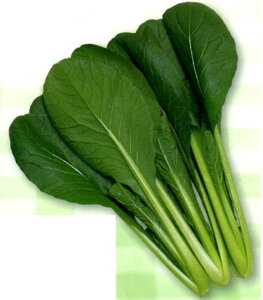  2dl  R}ci ܂ȁynӍ̎   ^l zyʏ5{ 5̂̓|Cg10{z