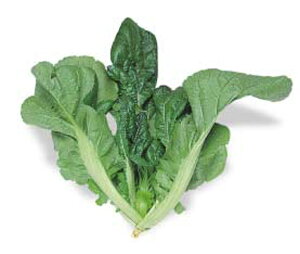 Or 2dl  ^Ji  G琬 y]_|   ^lzyʏ5{ 5̂̓|Cg10{ΏۊOi|Cg3{Œ菤iz