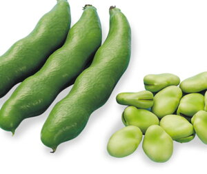 ̏t 200 ܂ \} \  G琬 y]_|   ^lzyʏ5{ 5̂̓|Cg10{ΏۊOi|Cg3{Œ菤iz