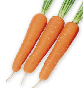 ~gܐlQ 2dl jW ɂ񂶂 lQ G琬 y]_|   ^lzyʏ5{ 5̂̓|Cg10{ΏۊOi|Cg3{Œ菤iz