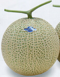 A[XZCkH~2 100 ߂  rZ Gz y]_|   ^lzyʏ5{ 5̂̓|Cg10{ΏۊOi|Cg3{Œ菤iz