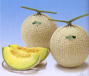 A[XeYt1 100 ߂  rZ Gz y]_|   ^lzyʏ5{ 5̂̓|Cg10{ΏۊOi|Cg3{Œ菤iz