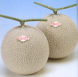 pX 2iԓj 100 ߂  rZ Gz y]_|   ^lzyʏ5{ 5̂̓|Cg10{ΏۊOi|Cg3{Œ菤iz