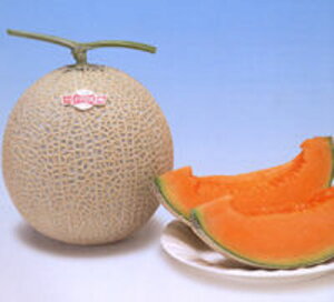 pX t2iԓj 100 ߂  rZ Gz y]_|   ^lzyʏ5{ 5̂̓|Cg10{ΏۊOi|Cg3{Œ菤iz