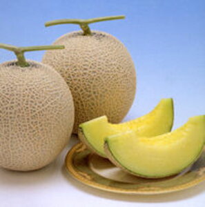 xl`A1 100 ߂  rZ Gz y]_|   ^lzyʏ5{ 5̂̓|Cg10{ΏۊOi|Cg3{Œ菤iz