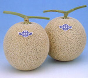 ベネチア夏2 100粒 めろん メロン 舐瓜 ヤエ交配 【八江農芸 種 たね タネ】【通常5倍 5のつく日はポイント10倍対象外商品ポイント3倍固定商品】