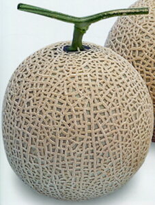 |g 100 ߂  rZ Gz y]_|   ^lzyʏ5{ 5̂̓|Cg10{ΏۊOi|Cg3{Œ菤iz